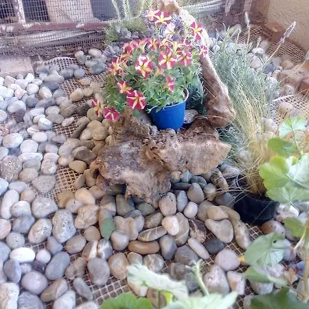 Cozy House 1 * Vrachati