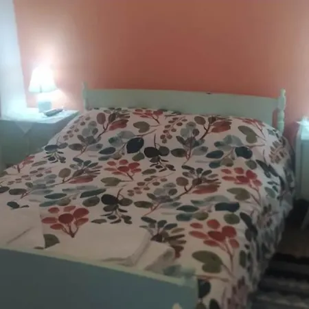 Cozy House 1